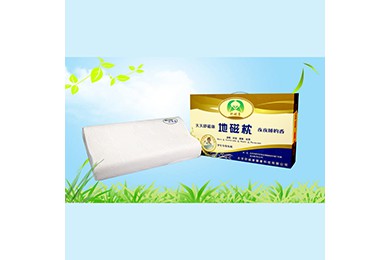 舒磁康學生地磁枕